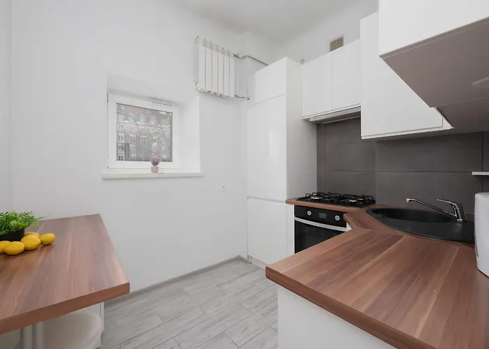 Apartment Stylish & Comfortable In Center By Renters *